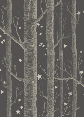 Tapetai Woods & Stars