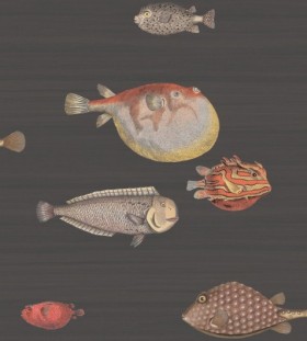 Tapetai Acquario