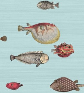 Tapetai Acquario