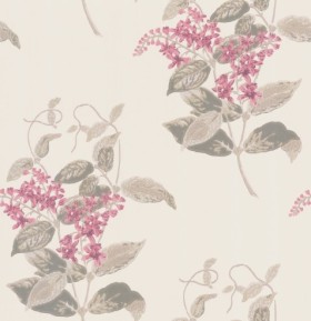 Tapetai Madras Violet