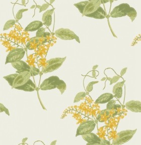 Tapetai Madras Violet