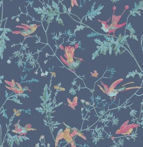 Tapetai Hummingbirds