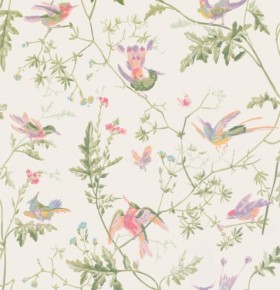 Tapetai Hummingbirds