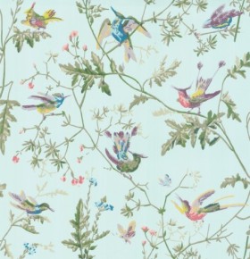 Tapetai Hummingbirds