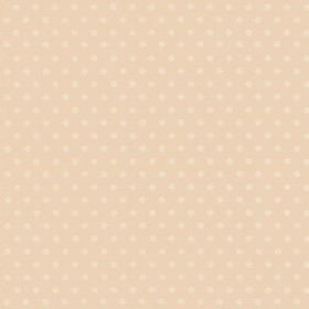 Tapetai Victorian Star