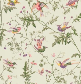 Tapetai Hummingbirds