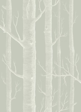 Tapetai Woods