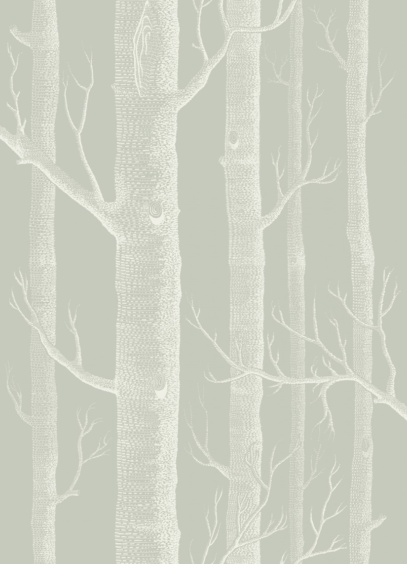 Tapetai Woods Tapetai Woods