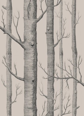 Tapetai Woods