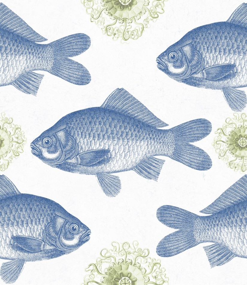 Tapetai Fish Tapetai Fish