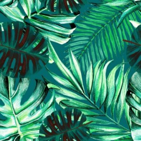 Tapetai Rainforest
