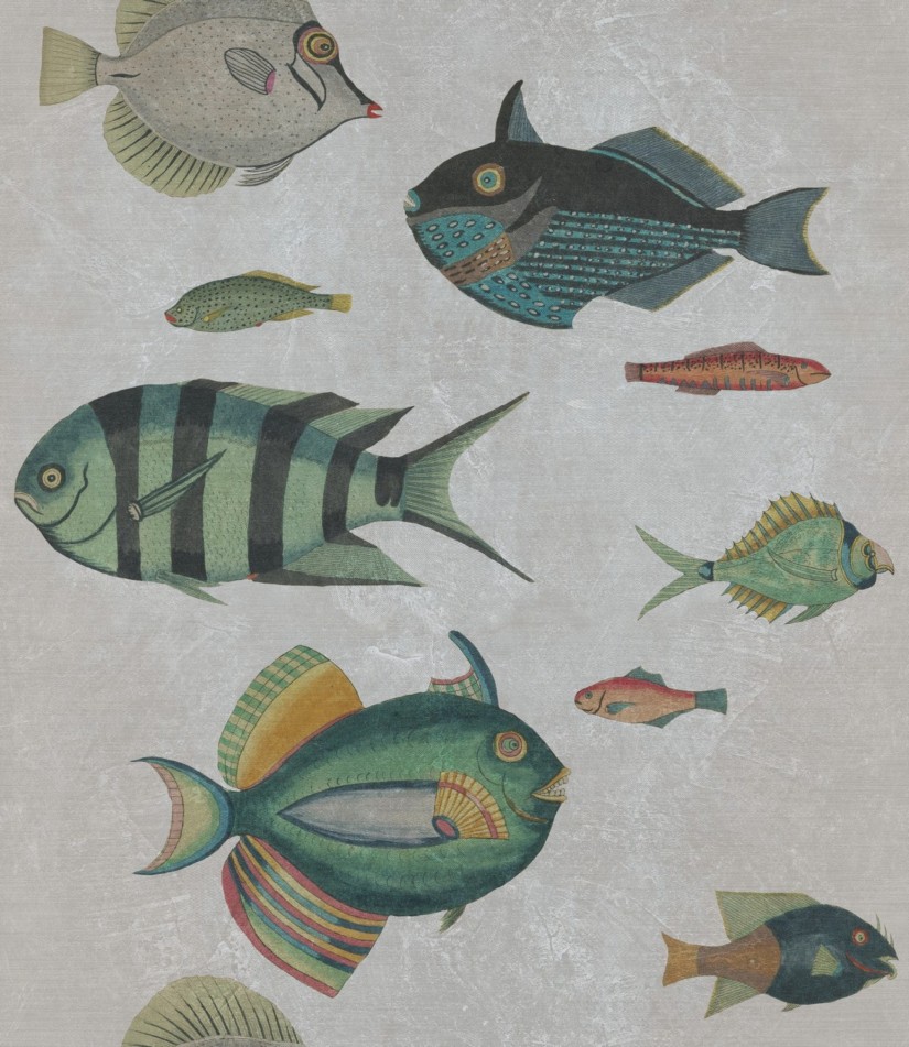 Tapetai Poissons Tapetai Poissons
