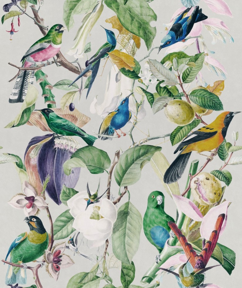 Tapetai Tropical birds Tapetai Tropical birds