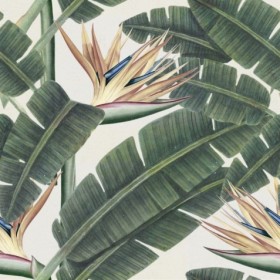 Tapetai Tropical bloom