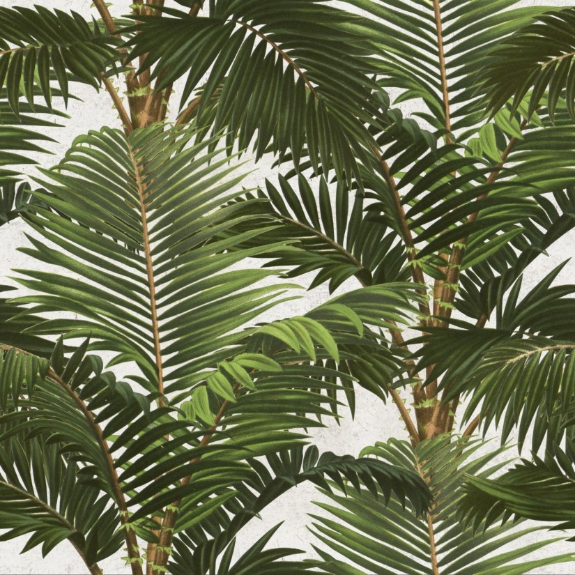 Tapetai Jardin tropical Tapetai Jardin tropical