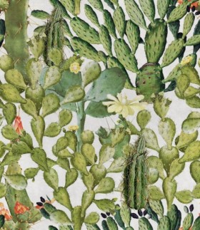 Tapetai Opuntia