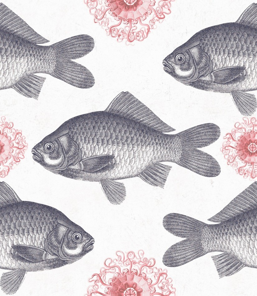 Tapetai Fish Tapetai Fish