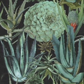 Tapetai Succulentus