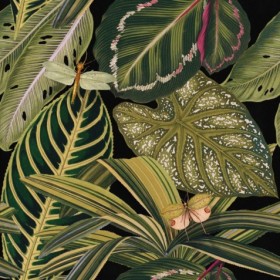 Tapetai Amazonia