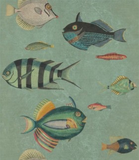 Tapetai Poissons