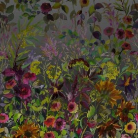 Tapetai Indian sunflower graphite