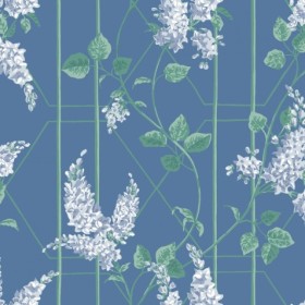 Tapetai Wisteria