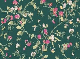 Tapetai Sweet pea
