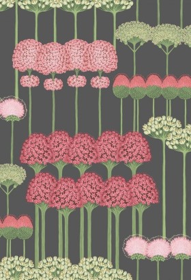 Tapetai Allium