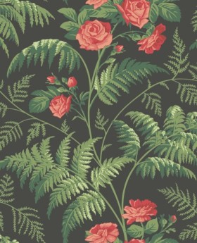 Tapetai Rose