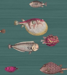 Tapetai Acquario