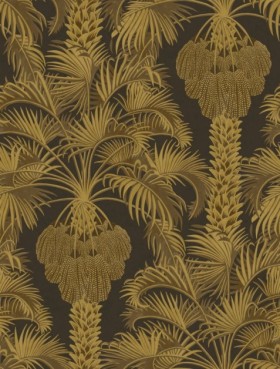 Tapetai Hollywood palm