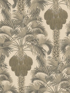 Tapetai Hollywood palm
