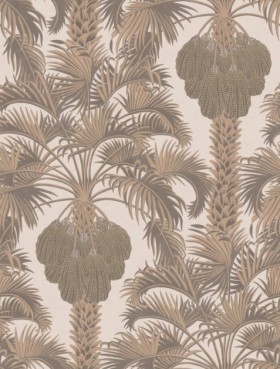 Tapetai Hollywood palm
