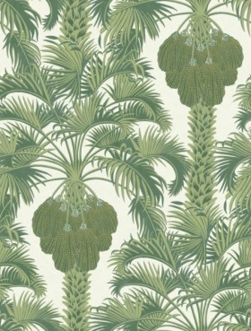 Tapetai Hollywood palm
