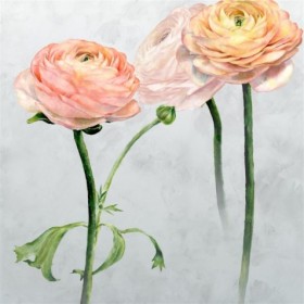 Tapetai Tourangelle Scene 1 peony