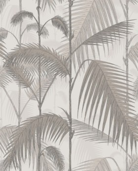 Tapetai Palm jungle