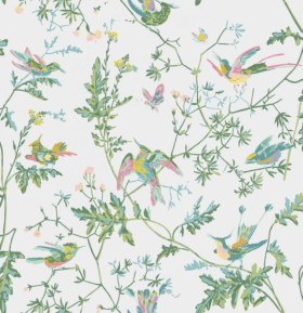 Tapetai Hummingbirds