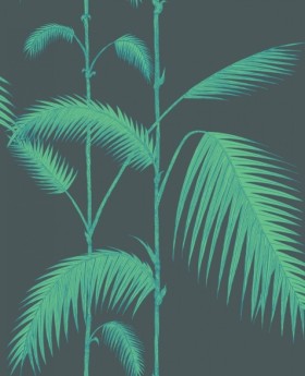 Tapetai Palm leaves