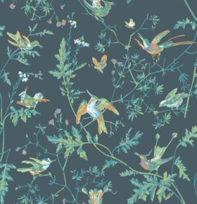 Tapetai Hummingbirds