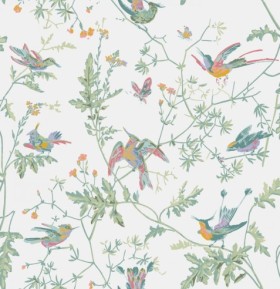 Tapetai Hummingbirds
