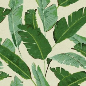 Tapetai Banana leaves