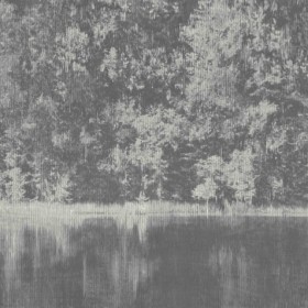 Tapetai Mizumi panel