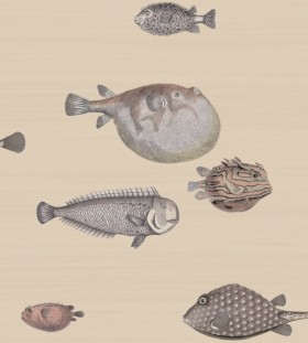 Tapetai Acquario