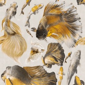 Tapetai Goldfish