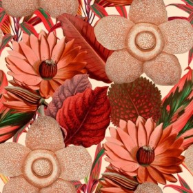 Tapetai Water lilies