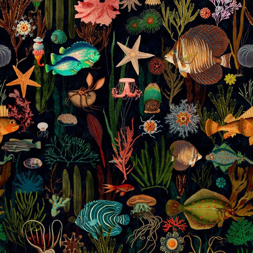 Tapetai Oceania Tapetai Oceania