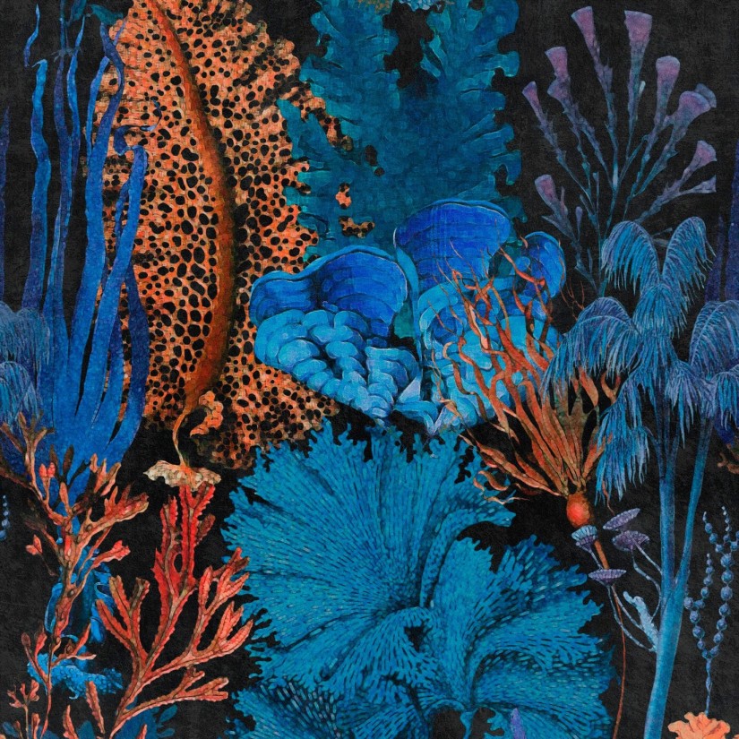 Tapetai Coral reef Tapetai Coral reef