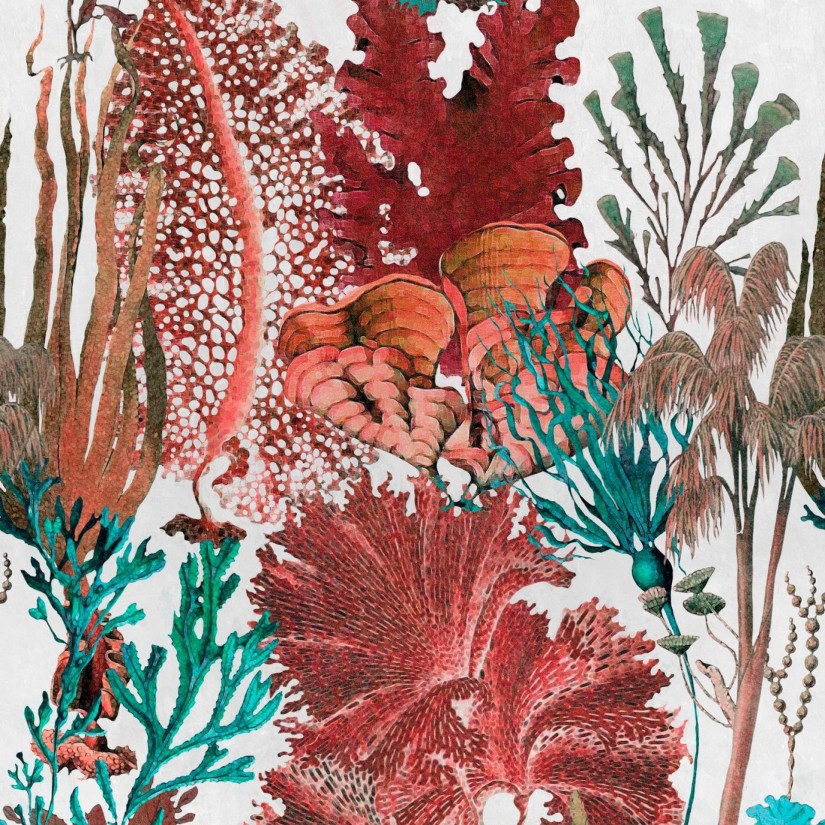 Tapetai Coral reef Tapetai Coral reef
