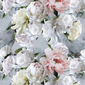 Audinys Peonia grande