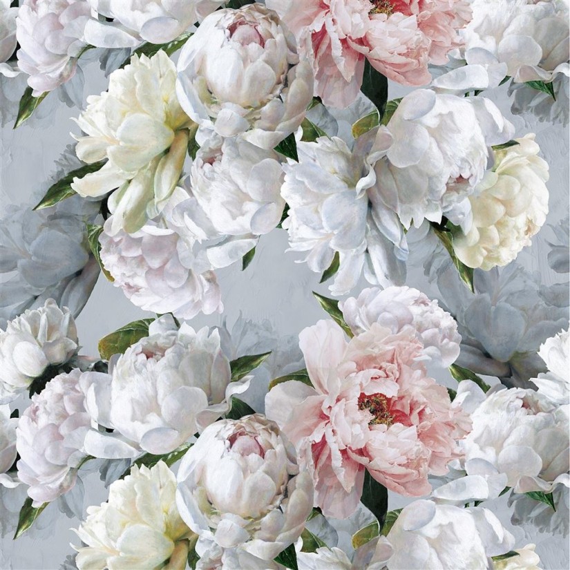 Audinys Peonia grande Audinys Peonia grande